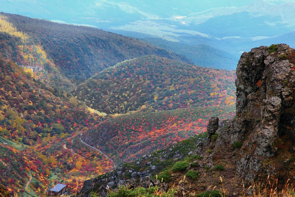 🏞️ 아다타라 계곡 오쿠다케 자연 산책로 (아다타라 케이코쿠 오쿠다케 시젠 유호도) 이미지 8